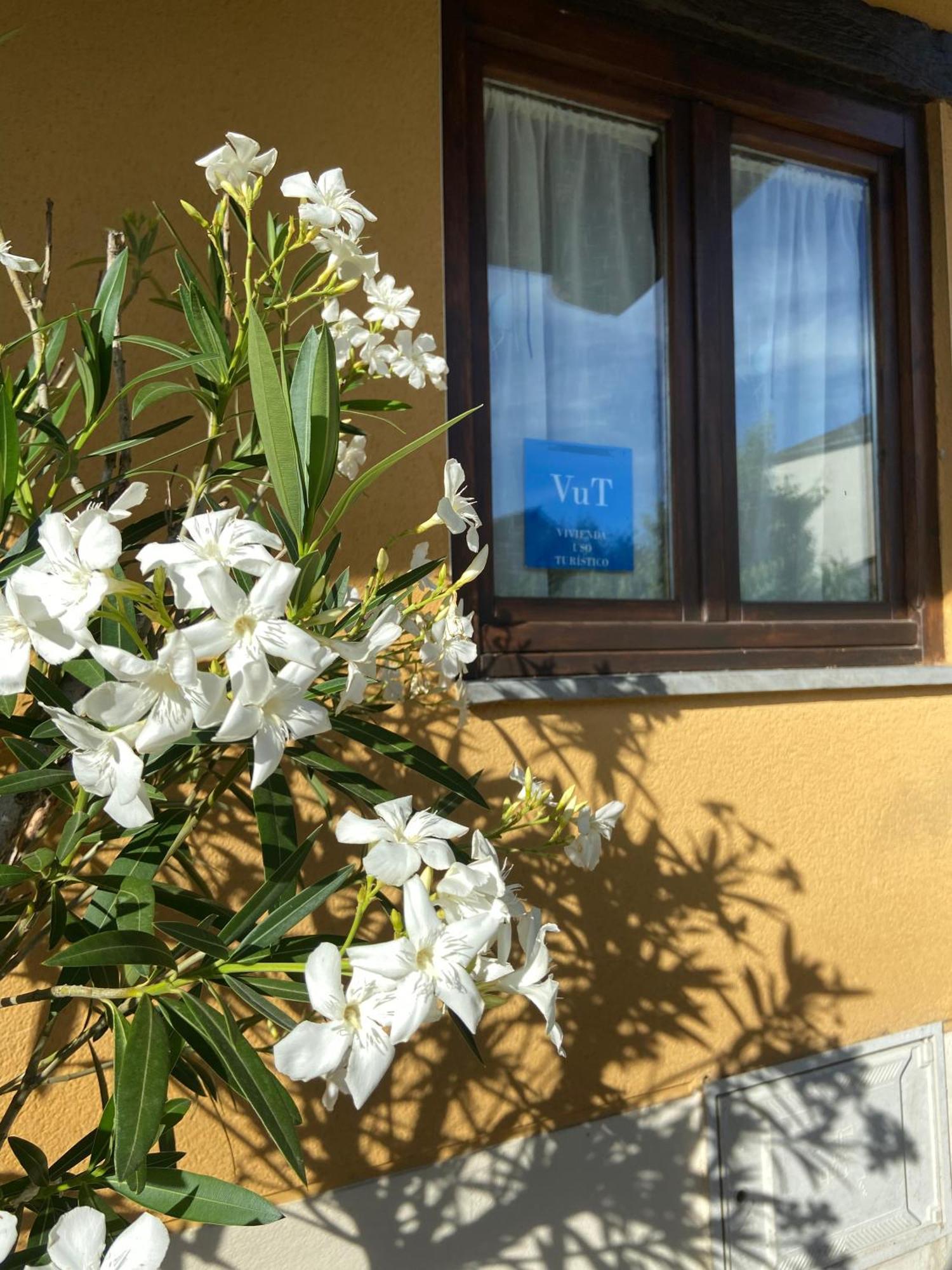 本比夫雷La Casita De Vinales别墅 外观 照片